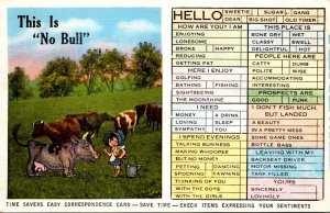 Humour Busy Person's Correspondence Card This Is No Bull