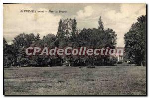 Postcard Old Bleneau Yonne In the Prairie