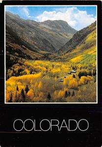 Colorado - Rockies