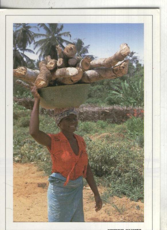 Postal:  Cote D,Ivoire: Femme au village