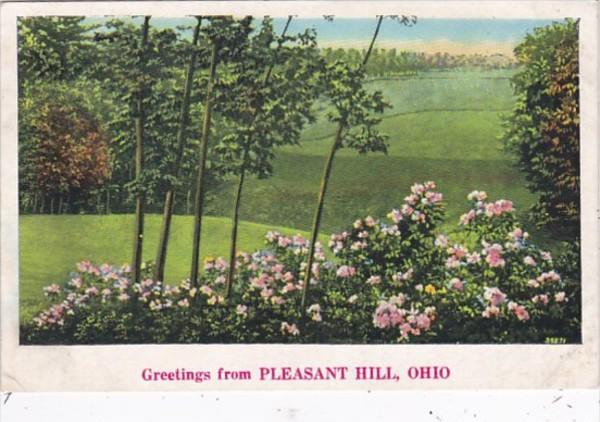 Ohio Greetings From Pleasant Hill 1938