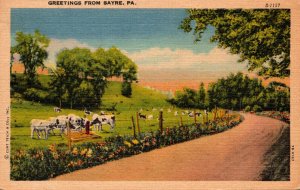 Pennsylvania Greetings From Sayre 1955 Curteich