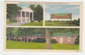 P2252, vintage postcard greenwood tourist court south hill virginia unused