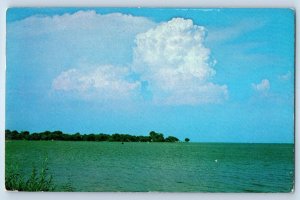 c1960 Oshkosh Wisconsin WI Postcard Lake Winnebago Fox River Forest Background