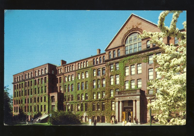 Cambridge, Massachusetts/Mass/MA Postcard, Harvard University Museum