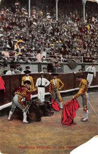 Group Of 6 Bull Fighting Scenes Matador Mexico Antique Postcards K25231