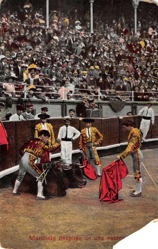 Group Of 6 Bull Fighting Scenes Matador Mexico Antique Postcards K25231