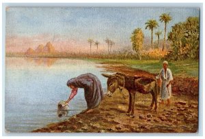 c1910's Woman Jar Getting Water Mule Landscape Near Cairo Egypt Postcard