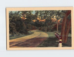 Postcard Road Trees Nature Landscape Scenery