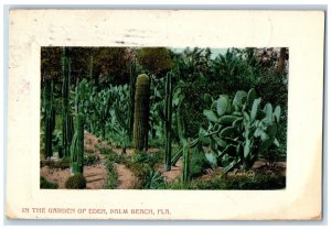 1910 In The Garden Of Eden Cactus Palm Beach Florida FL Posted Antique Postcard