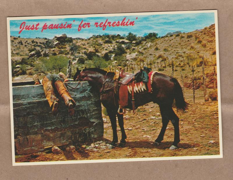 Postcard Just Pausin' for Refreshin Western Cowboy and Horse