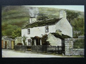 Wales ABER Ty Newydd c1905 Postcard by Wrench 15829 