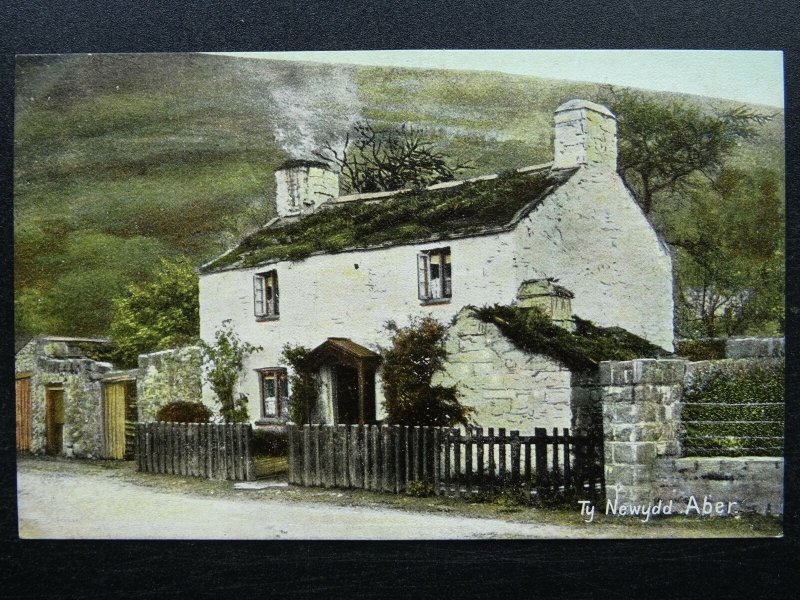 Wales ABER Ty Newydd c1905 Postcard by Wrench 15829