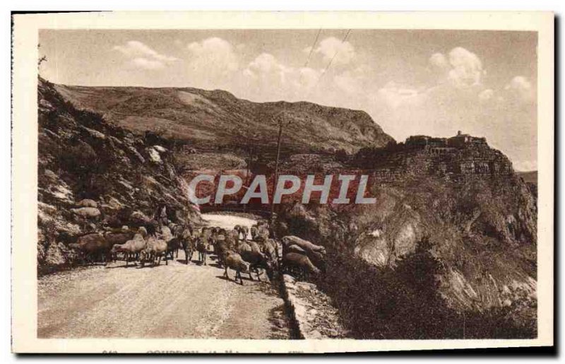 Old Postcard Gourdon Sheep