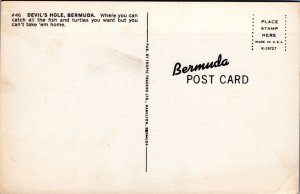 Postcard Bermuda - Fishing at Devil's Hole