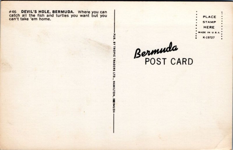 Postcard Bermuda - Fishing at Devil's Hole