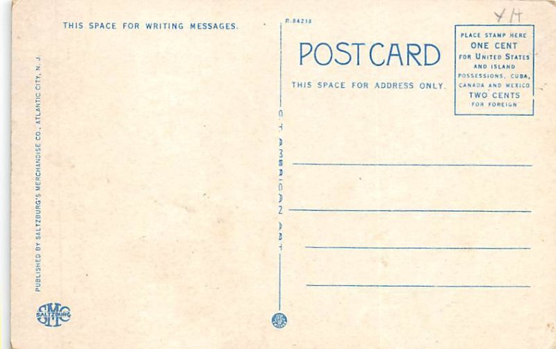 Young's Million Dollar Pier  Atlantic City NJ 