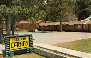 Cloudcroft New Mexico Buckhorn Cabins Street View Vintage Postcard K87853