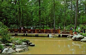 Alabama Birmingham Botanical Gardens Accomplishment Bridge Japanese Gardens