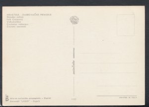 Croatia Postcard - Hrvatska - Dubrovacko Primorje, Folk Costumes  T5096