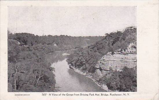 New York Rochester A View Of The Gorge From Drivong Park Avenue Bridge