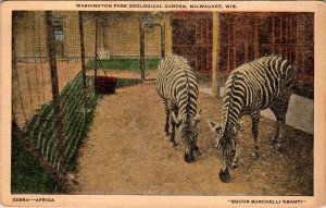 Zebras,Washington Park Zoo,Milwaukee,WI BIN