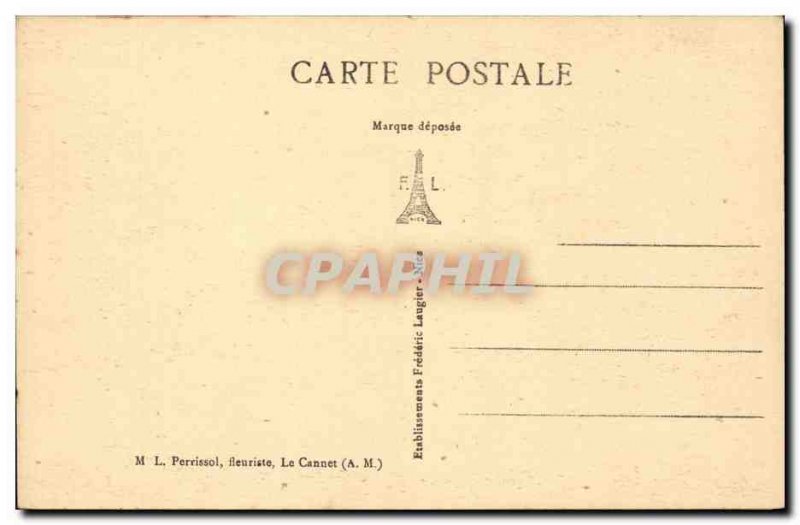 Le Cannet Old Postcard The boulevard Carnot