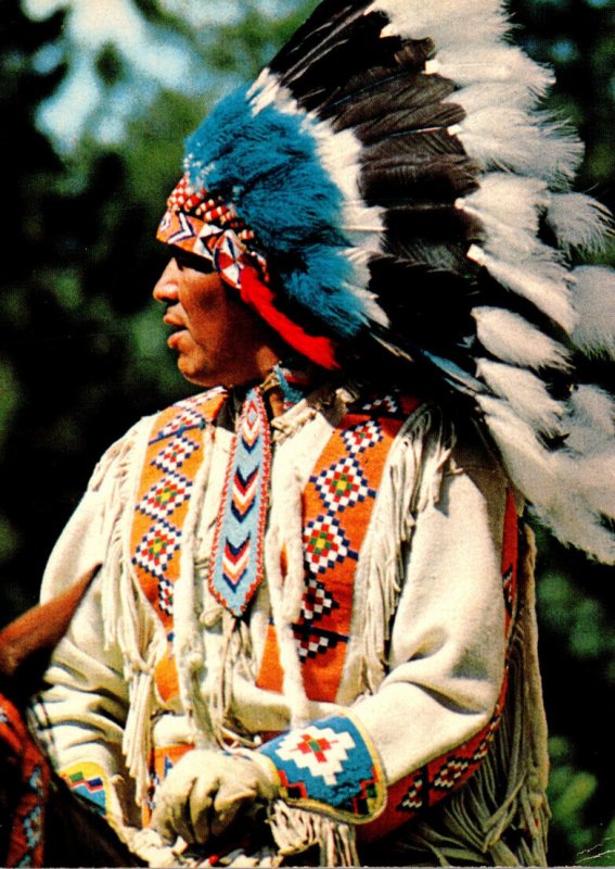 North American Indian In Traditional Head Dress