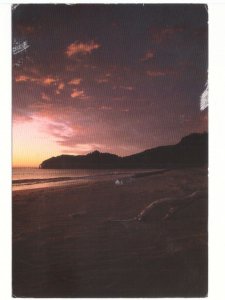 South Beach, Canada, 1998 Chrome Postcard