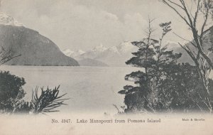 Lake Manapouri From Pomona Island New Zealand Antique Postcard