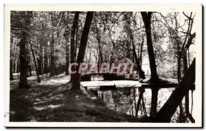 Postcard Modern Bleneau Le Chateau Park