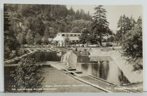 Oregon Fish Hatchery Bonneville on Columbia River rppc Postcard O3