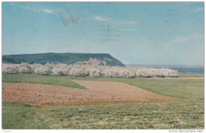 Cape Blomidon , Nova Scotia ,  Canada , PU_1968