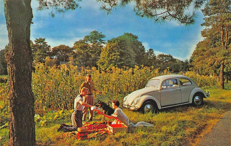 White Volkswagen Family Picnic and Dog Advertising Postcard