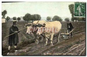 Old Postcard Folklore Vichy Oxen Plowing around