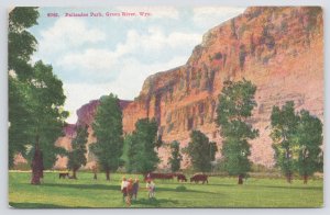 Animal~Buffalo Crowd Below Cliffs Palisades Park Green River WY~Vintage Postcard