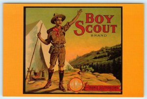 BOY SCOUT Brand Oranges Repro FRUIT CRATE LABEL Graphics c1980s -4x6  Postcard