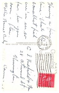 Maine , Land lock Salmon 19lbs