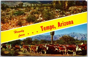 VINTAGE POSTCARD DOUBLE VIEW CACTUS GARDEN & CATTLE ROUNDUP AT TEMPE ARIZONA