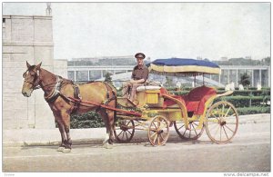 Sightseeing Carriage, NIAGARA FALLS, Ontario, Canada, 40-60´