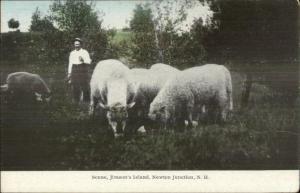 Newton Junction NH Jimson's Island Sheep & Farmer c1915 Postcard