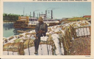 Black Americana, African American Man Loading Cotton in Memphis TN, Riiverboat