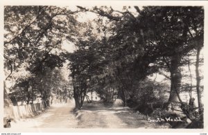 RP: SOUTH WEALD , Essex , England , 1951 ; Road