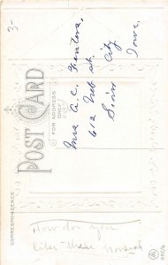 H81/ Beautiful Horse Animal Postcard c1910 38