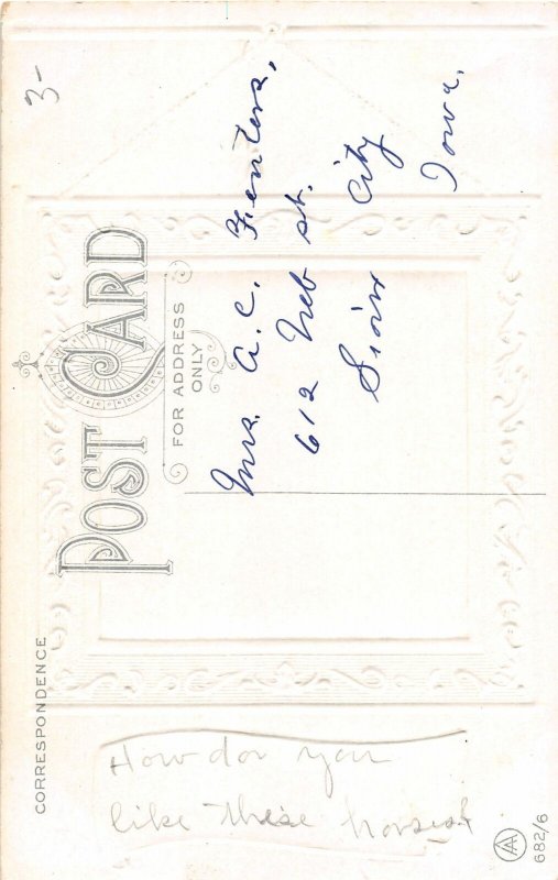 H81/ Beautiful Horse Animal Postcard c1910 38