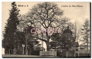 Germany Worth Postcard Old L & # 39arbre of MAb Mahon