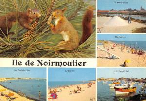 BR56485 ile de noirmoutier écureuil squirrel animals animaux