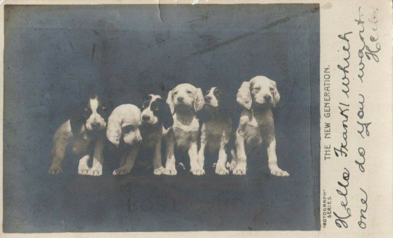 RP: Puppies The New Generation , 1906