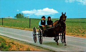 Pennsylvania Greetings From Amish Country Amish Courting Buggy