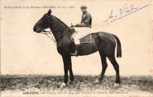 Jamaique La France Chevaline Race 1909 Horse Signed Old PB Postcard